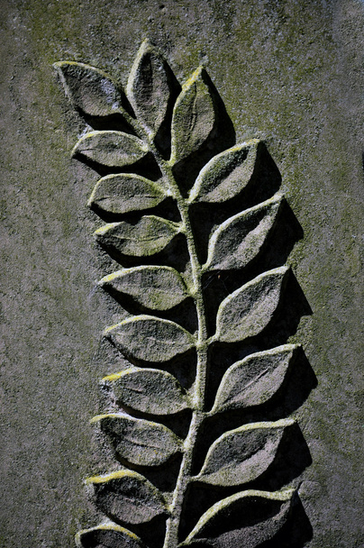 Graphic representation stems with leaves - Photo, Image
