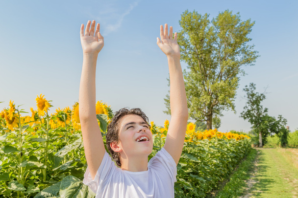 Al aire libre y los brazos abiertos, chico caucásico está levantando los brazos frente a los campos de girasol amarillo durante el verano en el campo italiano
 - Foto, Imagen