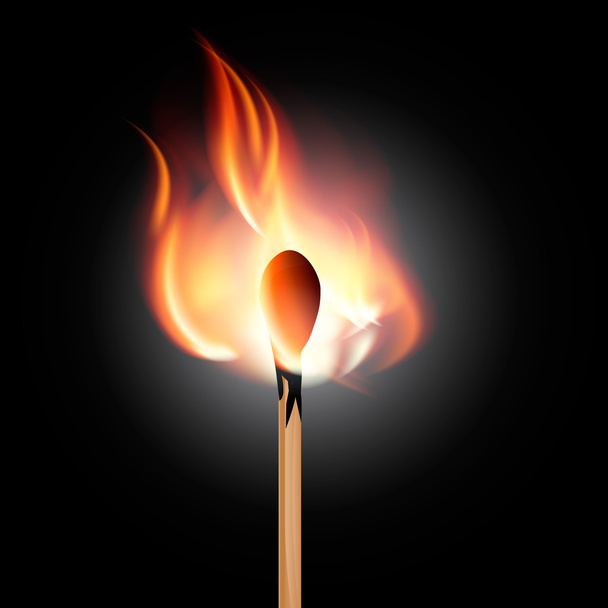 燃えるマッチ棒ベクトル - ベクター画像