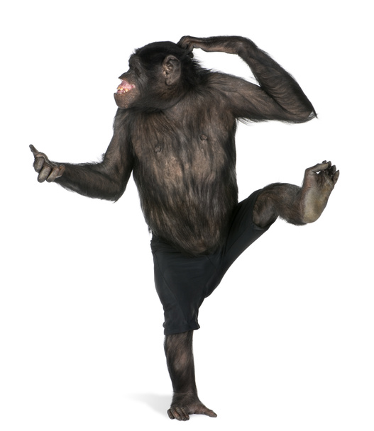 1 つの足の上で踊って猿 - 写真・画像