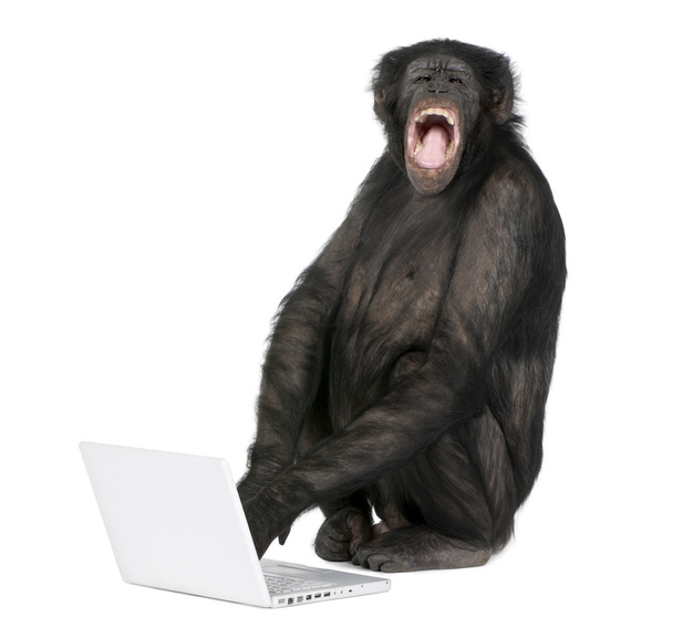 Monkey playing with a laptop - Photo, Image