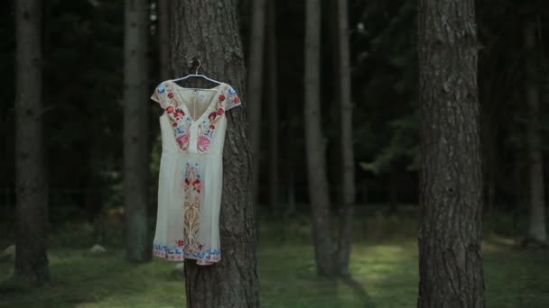 wunderschönes besticktes Kleid mit Blumenschmuck, das an einem Baum in einem Kiefernwald hängt - Filmmaterial, Video