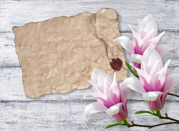 Magnolia flowers on background of shabby wooden planks  - Zdjęcie, obraz