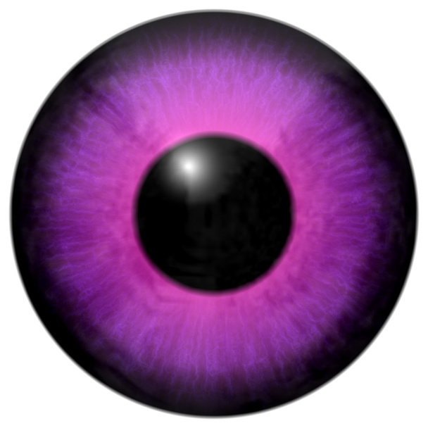 Detail of eye with pink, purple colored iris and black pupil - Photo, Image