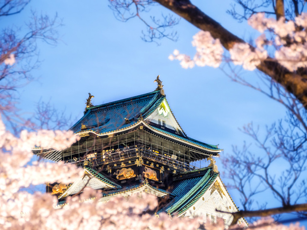 Château d'Osaka parmi les cerisiers en fleurs (sakura) dans la scène du soir après le coucher du soleil avec ciel bleu et lumière (accent sélectif sur le château avec avant-plan flou de branches et de cerisiers en fleurs) - Photo, image