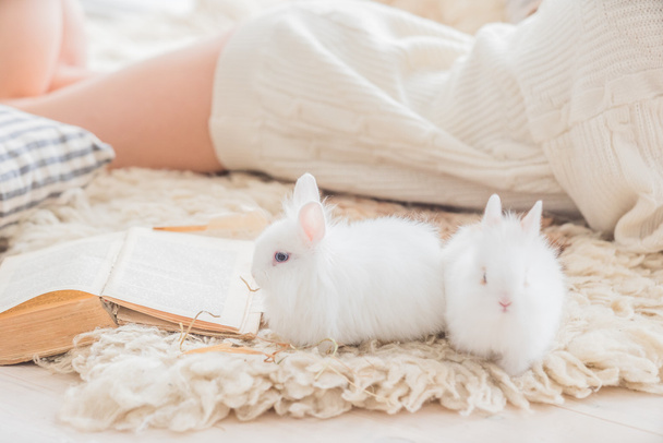 woman laying with rabbit - Foto, imagen