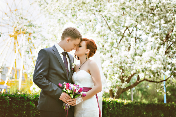 Casal natureza, feliz no fundo flores brancas. Flor de maçã
 - Foto, Imagem