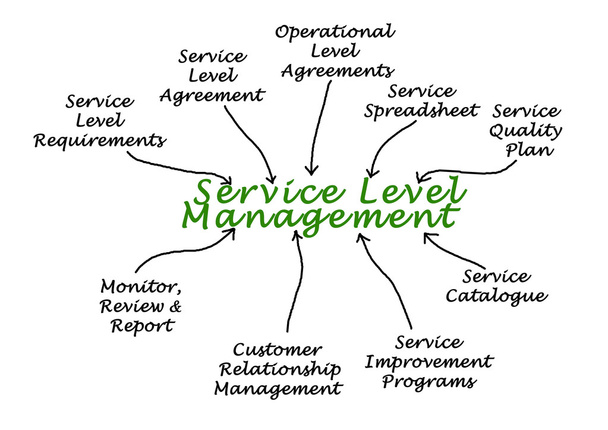Schema di gestione del livello di servizio
 - Foto, immagini