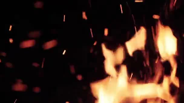 Extreme close up ognia iskry ruchu na niebie ciemna noc na czarnym tle z jasno Płonący ciepłe na zewnątrz ognisko w lesie - Materiał filmowy, wideo