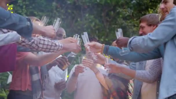 amigos levantan vasos para un brindis
  - Metraje, vídeo