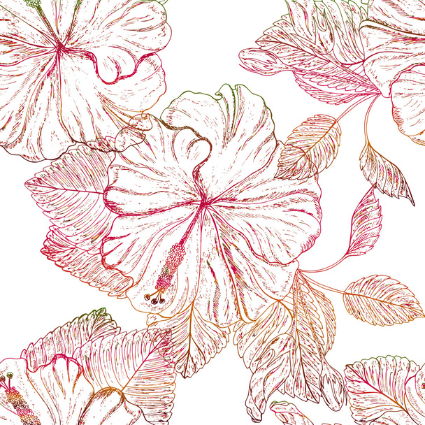 Beautiful Hibiscus flowers. - Vector, afbeelding