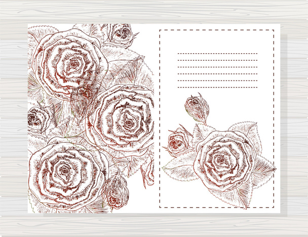 Beautiful Rose flowers. - Vector, Imagen