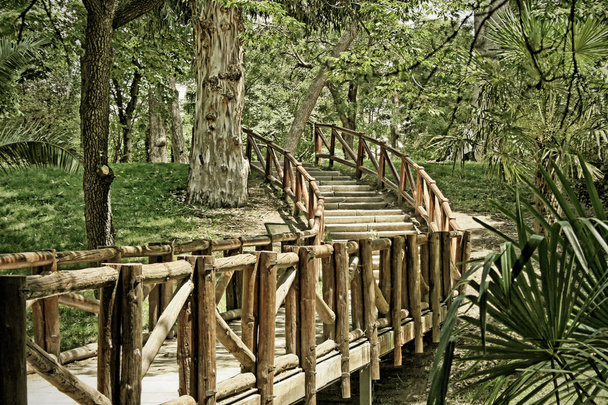 ponte de madeira no parque - Foto, Imagem