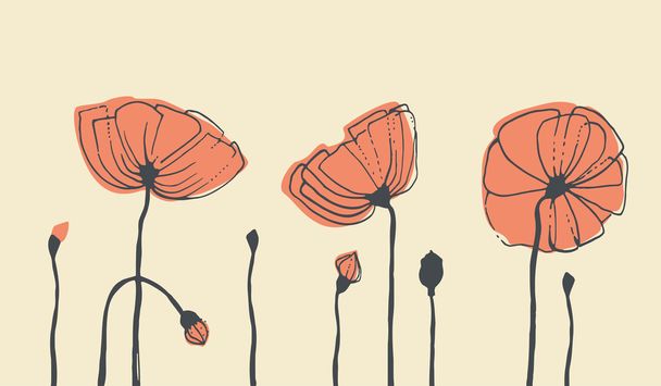 Hand-drawn poppies. Vector illustration - Vector, Image
