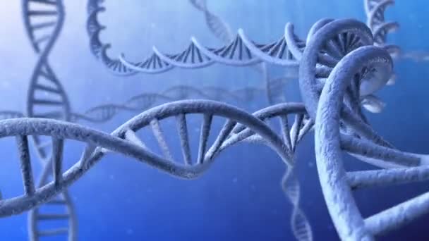 Animazione 3d di filamenti di DNA rotanti. Cintura
. - Filmati, video