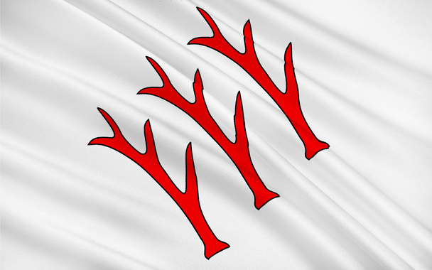 Bandeira de Sarrebourg, França
 - Foto, Imagem