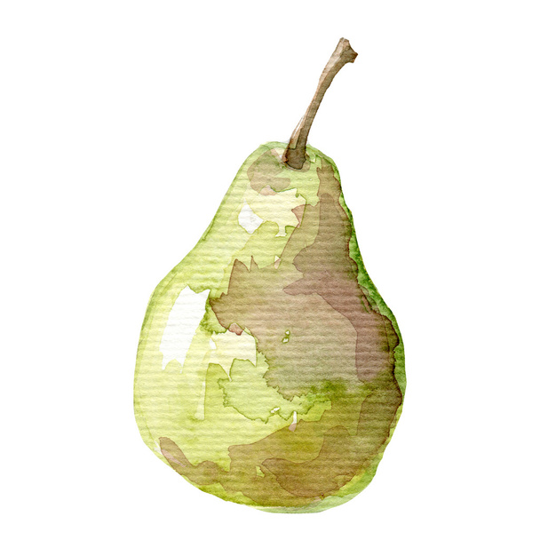Meyve armut el çizimi suluboya resim çizilmiş - Fotoğraf, Görsel