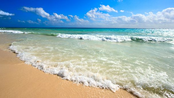 hermosa playa y mar - Foto, Imagen