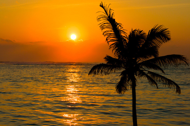 Tropical sunset scene - Photo, Image
