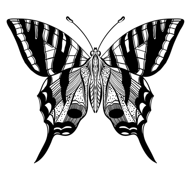 χειροποίητη διανυσματική πεταλούδα - Διάνυσμα, εικόνα