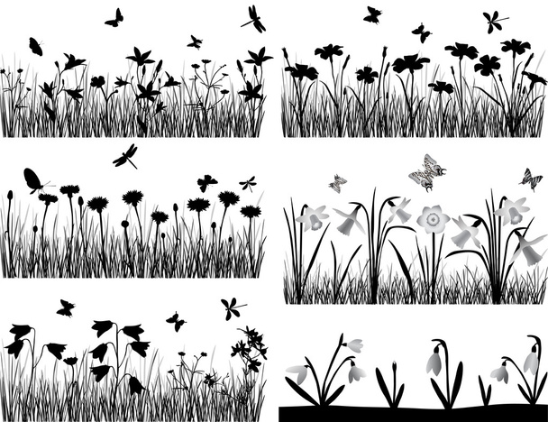Колекція силуетів квітів і трав
 - Вектор, зображення