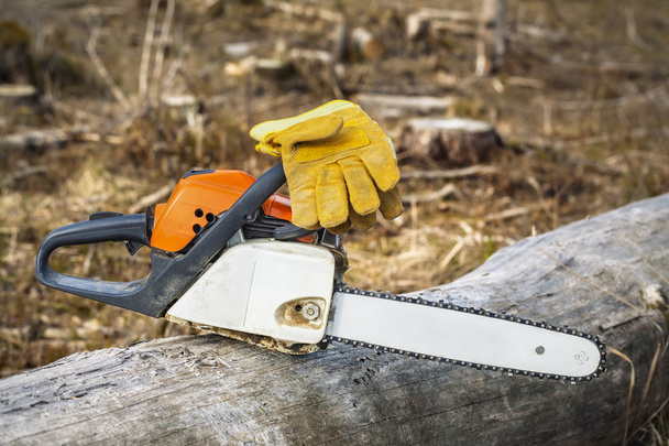 Scie à chaîne et gants sur un arbre dans une forêt détruite
  - Photo, image