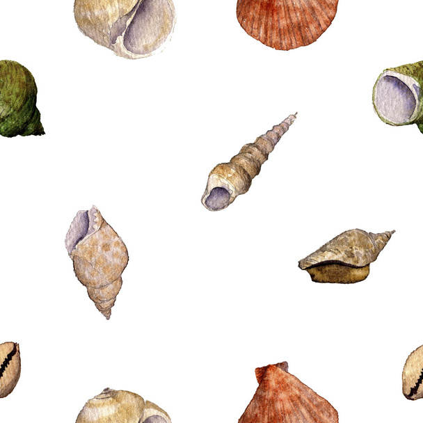 seamless pattern with watercolor drawing shells - Fotoğraf, Görsel
