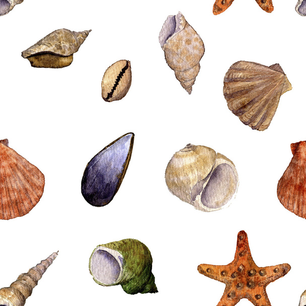 seamless pattern with watercolor drawing shells - 写真・画像