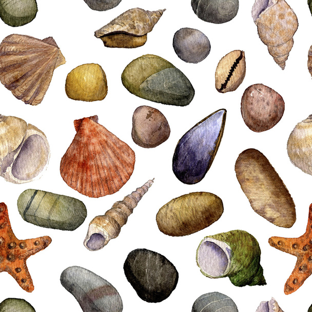 seamless pattern with watercolor drawing shells - Fotografie, Obrázek