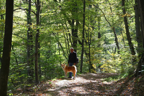 Mann und Hund genießen im Wald - Foto, Bild
