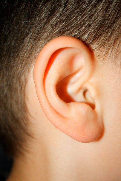 little boys ear - macro look on part. - Photo, Image