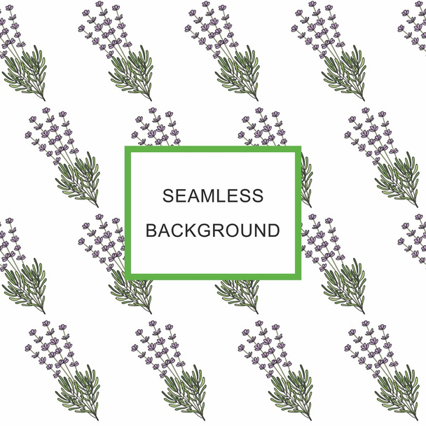 Seamless background lavender - Vector, afbeelding