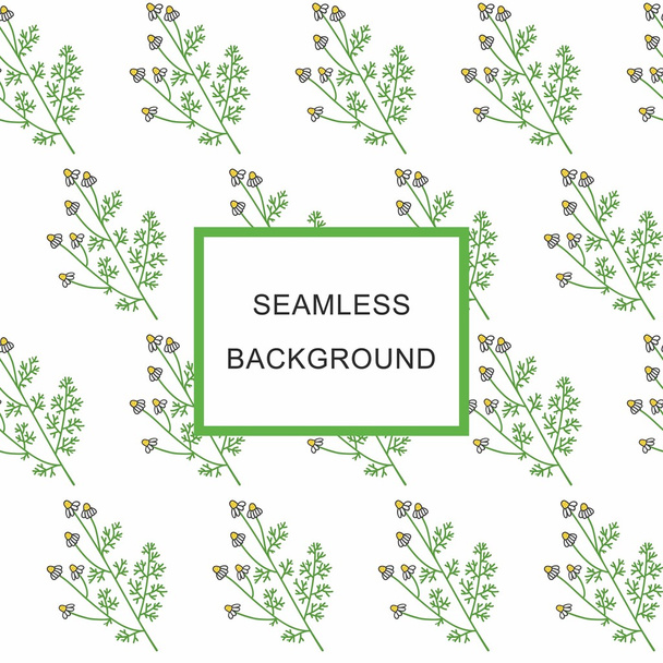 Seamless background Medicinal plant chamomile officinalis. medicinal herbs - Vektor, kép
