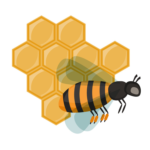Μέλισσα μέλι εντόμων που απομονώνονται σε λευκό διάνυσμα. - Διάνυσμα, εικόνα