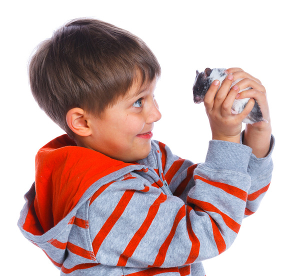 Cute boy with hamster - Photo, image