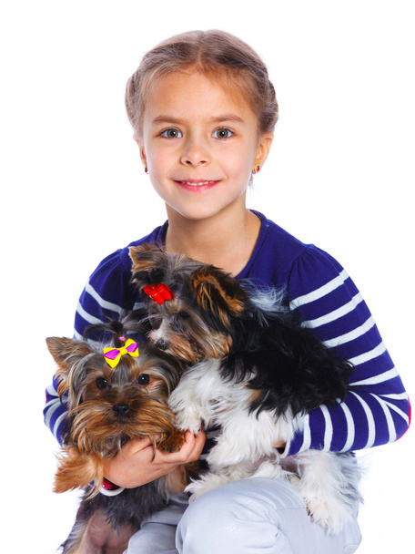 Girl playing with her yorkshire terriers - Fotografie, Obrázek