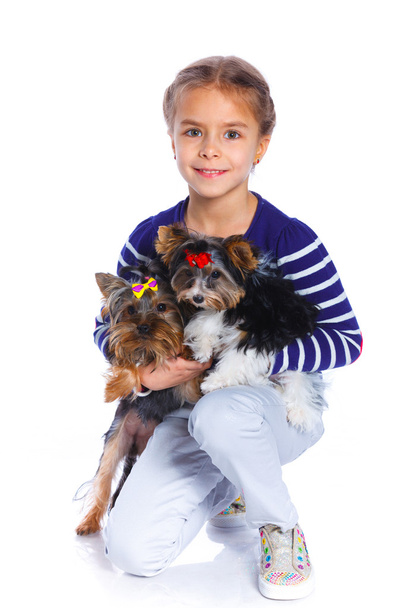 Girl playing with her yorkshire terriers - Zdjęcie, obraz