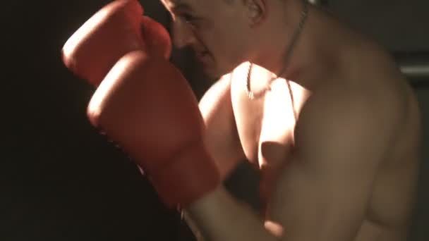 Σέξι τόπλες bodybuilder που εγκιβωτίζει στο γάντια - Πλάνα, βίντεο