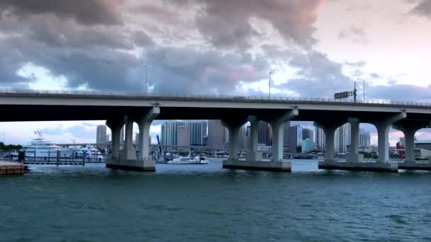 A hidak Miami belvárosában - Felvétel, videó