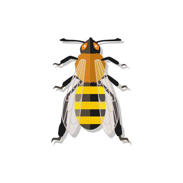 Icône d'abeille vectorielle
 - Vecteur, image