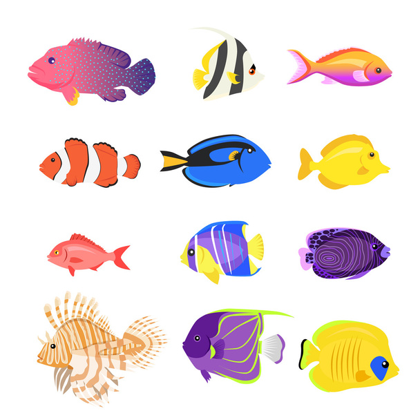 Set of Sea Fish Color Design Flat - Vector, Image