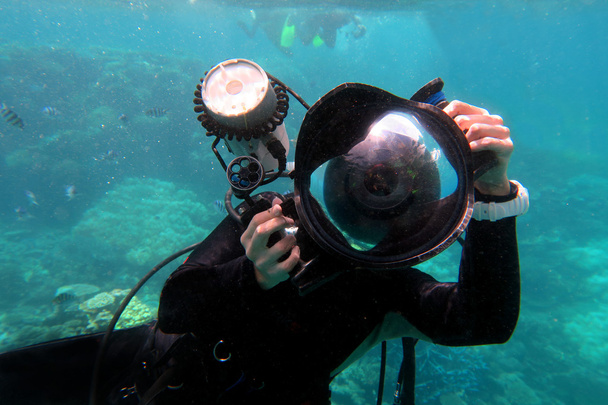 Fotógrafo submarino fotografiando bajo el agua
 - Foto, Imagen