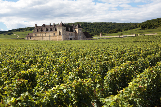 Winnica chateau Burgundia, Francja - Zdjęcie, obraz