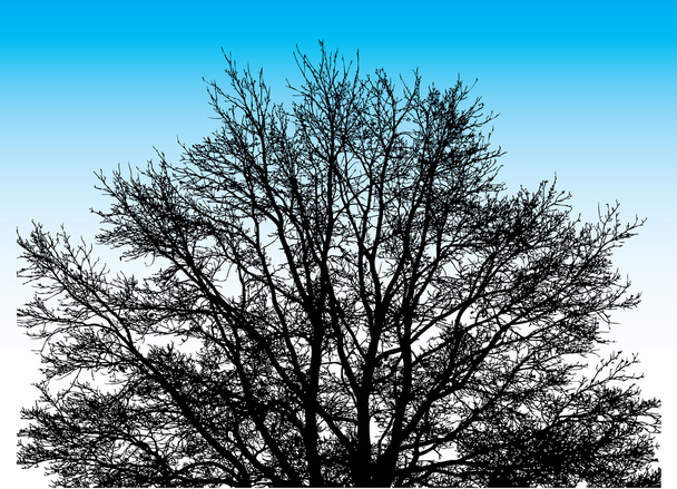 wielkie drzewo - Wektor, obraz