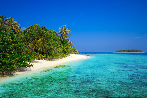 Trooppinen saari hiekkarannalla
 - Valokuva, kuva