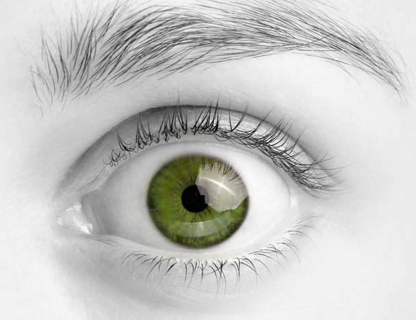 Görüntüyü açık yeşil göz, siyah beyaz fotoğraf - Fotoğraf, Görsel