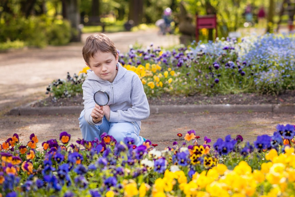 7 yaşındaki çocuk renkli çiçeklere görünüyor  - Fotoğraf, Görsel