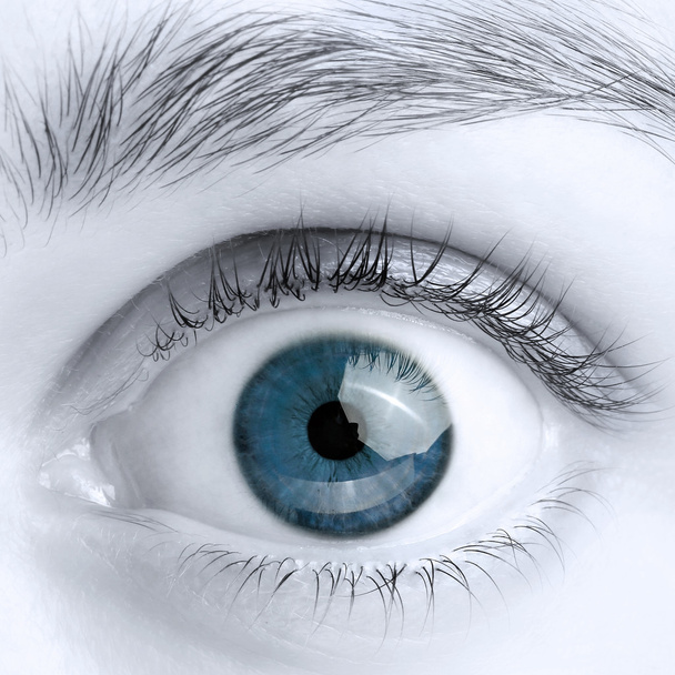 Makro kuva leveä avoin sininen silmä, musta ja valkoinen kuva
 - Valokuva, kuva