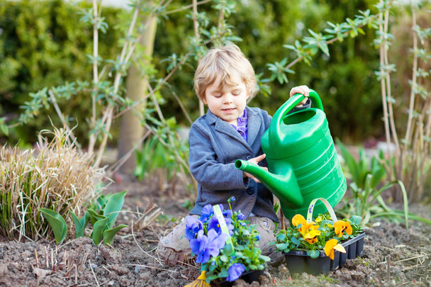 μικρό αγόρι, κηπουρική και φυτεύοντας λουλούδια στον κήπο - Φωτογραφία, εικόνα