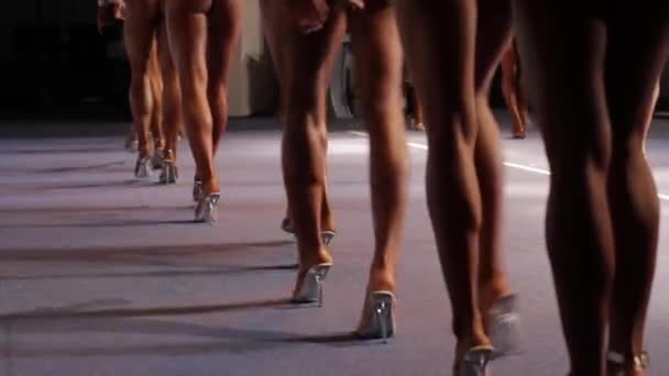 Naisten jalat kävely lavalla
. - Materiaali, video